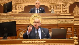 مجلس الشيوخ