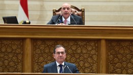 مجلس النواب