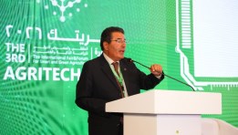 المهندس مصطفى النجارى