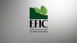  الشركة المالية والصناعية المصرية