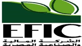 الشركة المالية والصناعية المصرية