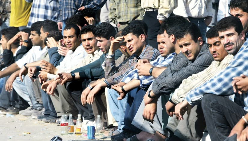 القوة العاملة في مصر