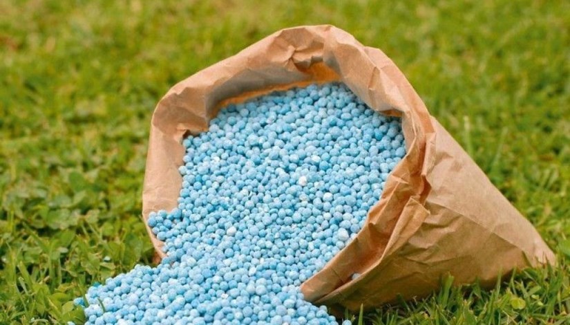 أرشيفية