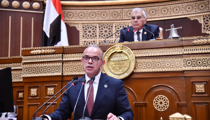 وزير الاستثمار