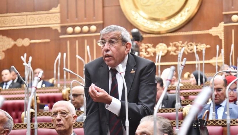 النائب علاء عبد النبي 