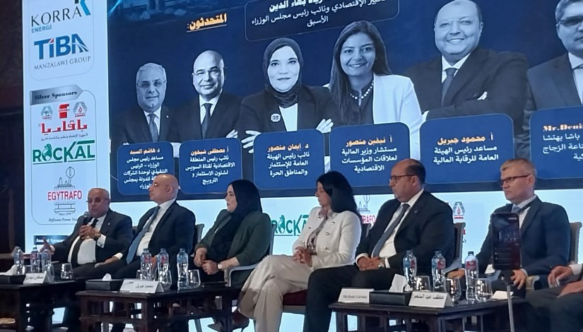 نيفين منصور، مستشار وزير المالية للعلاقات الاقتصادية