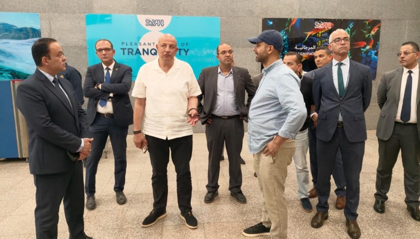 الطيار وائل النشار
