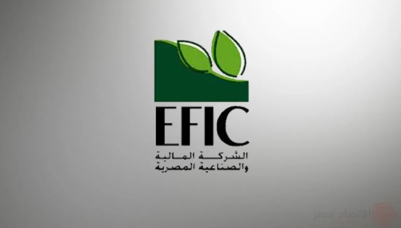  الشركة المالية والصناعية المصرية