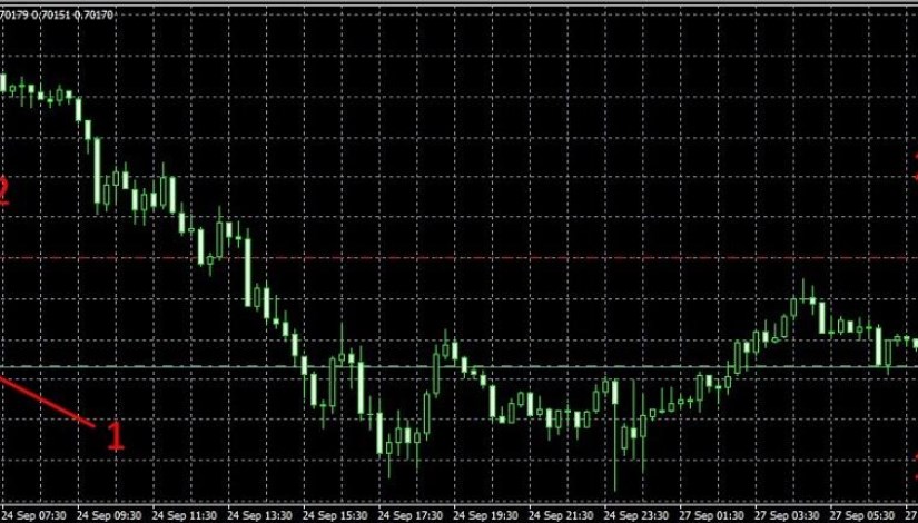 الاستثمار في البورصة- تعبيرية