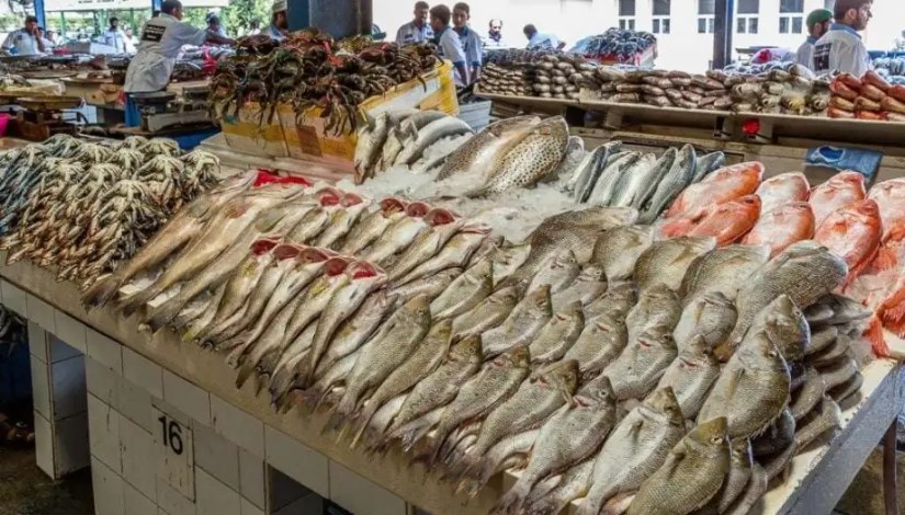  أسعار الأسماك والمأكولات البحرية اليوم