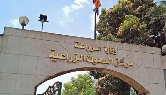 مركز البحوث الزراعية