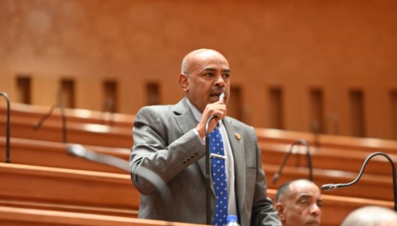 النائب محمد أبو الخير عبد العاطي عضو مجلس النواب