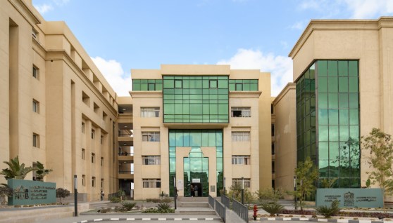 جامعة النهضة
