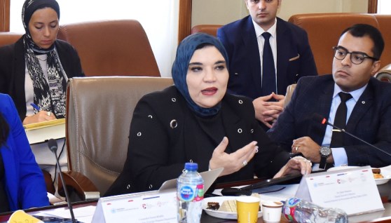 جانب من اللقاء