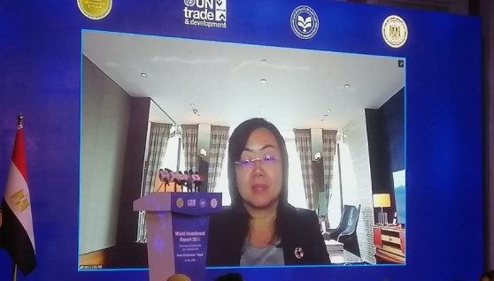  نان لي كولينز، مدير شعبة الاستثمار والمؤسسات بمؤتمر الأمم المتحدة للتجارة والتنمية 