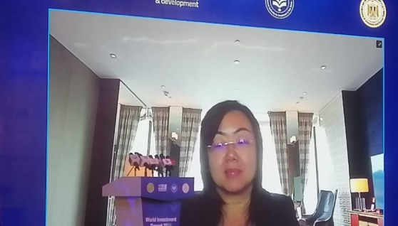  نان لي كولينز، مدير شعبة الاستثمار والمؤسسات بمؤتمر الأمم المتحدة للتجارة والتنمية