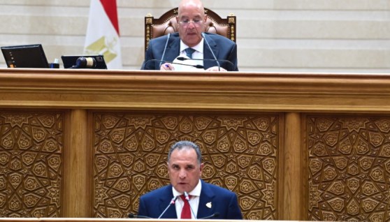 مجلس النواب