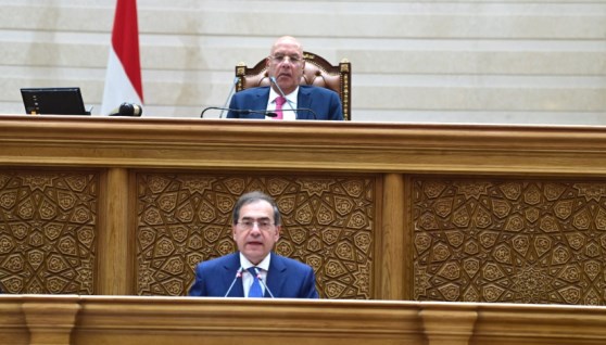 مجلس النواب