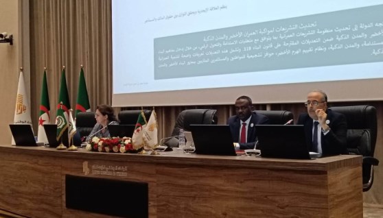 المهندس مصطفى النجار