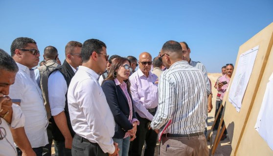 المهندسة راندة المنشاوي