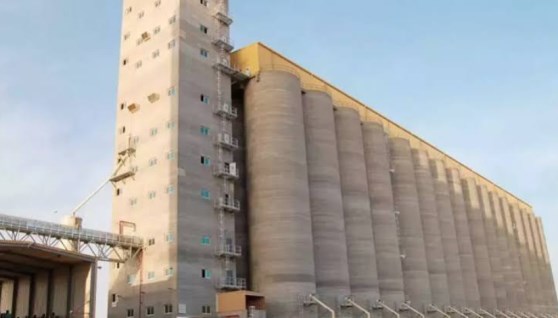 مطاحن مصر العليا- أرشيفية