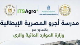 "أجرو المصرية الإيطالية"