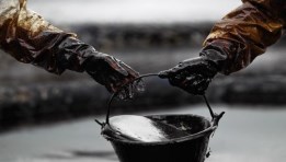 بتروكيماويات- تعبيرية