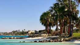 منتجع