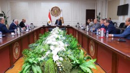 لقاء وزير العمل بأصحاب مصانع الغزل في المحلة الكبرى