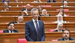 وزير الشئون النيابية