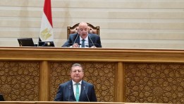 مجلس النواب