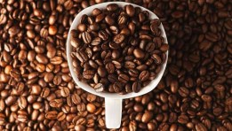 صناعة البن في مصر 