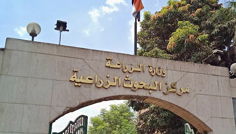 مركز البحوث الزراعية