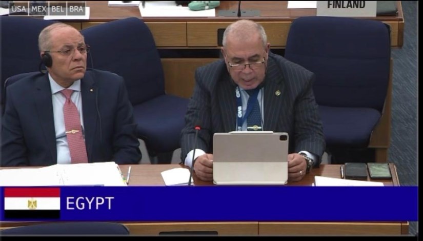 الوفد المصري 