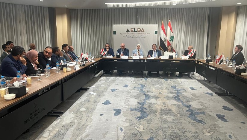 رشا عبد العال، رئيس مصلحة الضرائب المصرية