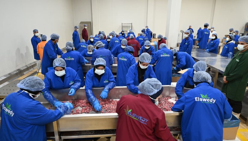شركة السويدي للصناعات الغذائية 
