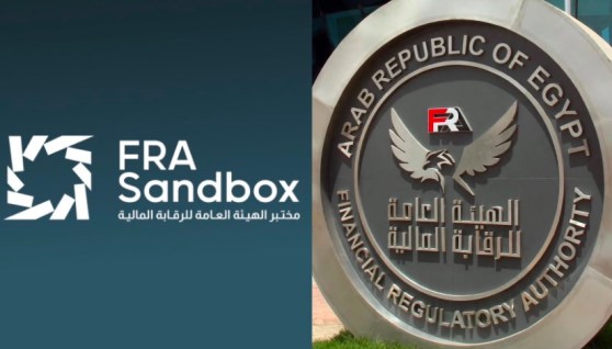 الهيئة العامة للرقابة المالية