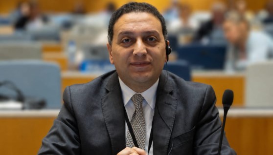 المستشار محمد عادل