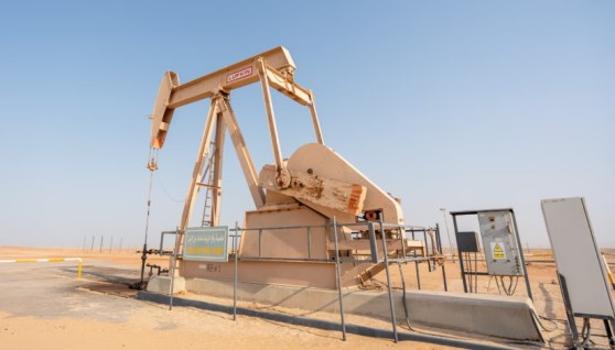 حقل البركة