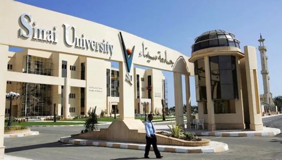 جامعة سيناء