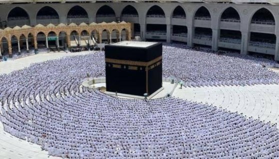 سعر عمرة المولد النبوي 2026