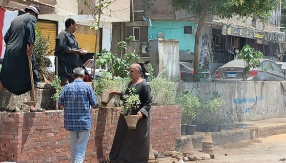 تنسيق وزراعة الأحواض