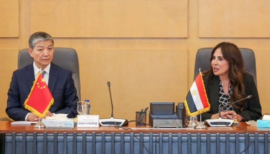 المهندسة راندة المنشاوي