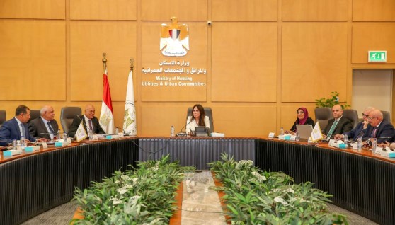 المهندسة راندة المنشاوي