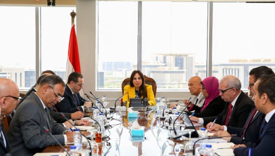 المهندسة راندة المنشاوي