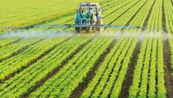 لوتس للتنمية والاستثمار الزراعي- تعبيرية