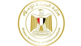 وزارة الدولة للإعلام