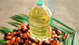 زيت النخيل- أرشيفية