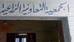  الجمعية التعاونية الزراعية المحلية