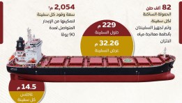 مواصفات سفينتي صب جاف قادمة من الصين